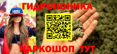 крисы Малгобек