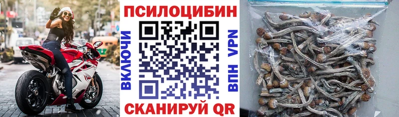 наркота  Реутов  Галлюциногенные грибы мухоморы 