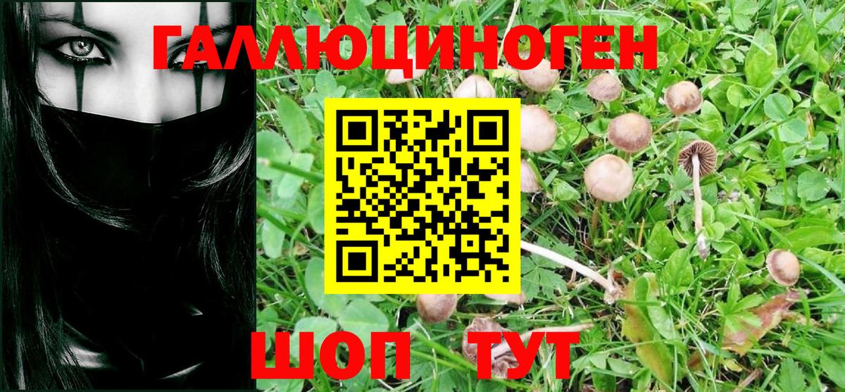 Галлюциногенные грибы Psilocybe  Вход с VPN  Реутов 
